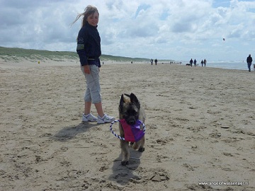 Het strand van Noordwijk